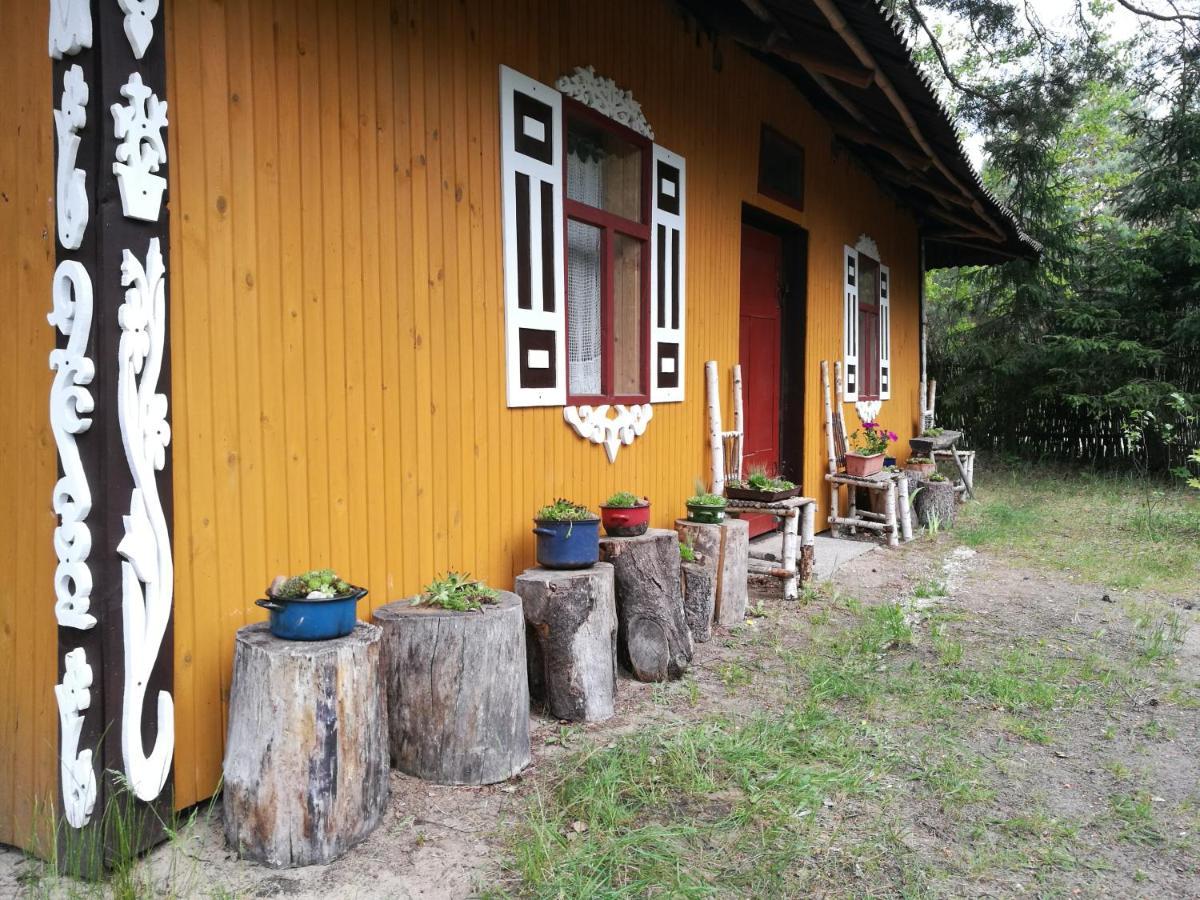 Bora Zdroj - Pokoj Czteroosobowy 1 Narewka Luaran gambar